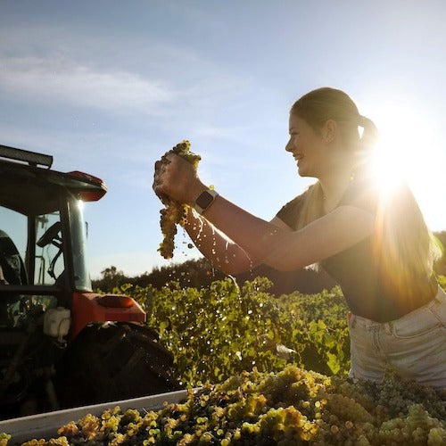 Liquor Licence change for wine producers with no cellar door