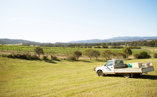 Bushfire Readiness Resources