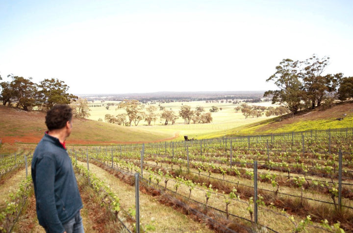 Getting the most out of the Bureau of Meteorology and Agriculture Victoria’s seasonal climate forecasts products